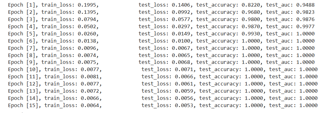 image-20250123233019282